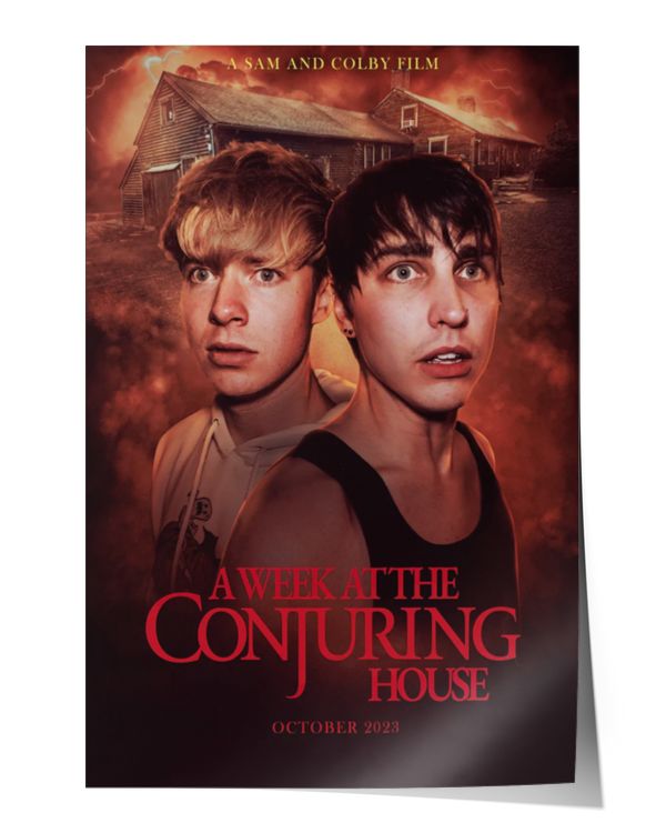 Satin Portrait Poster (16x24in)